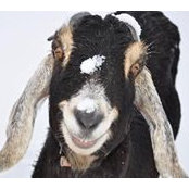 Linda Banks's photo