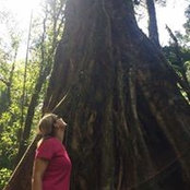 Judith Addison's photo