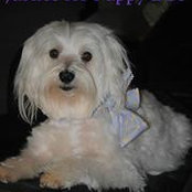 Sandy Gagnon's photo