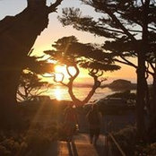 Liz Wareham's photo
