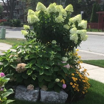 Garden With Bursting Colour