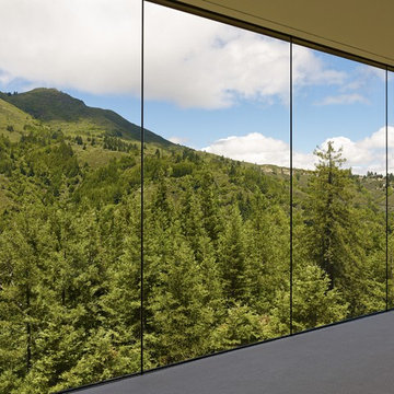 Mt. Tamalpais Residence