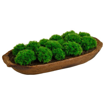Decorative Moss and Planter - Great Design Element For Your Home