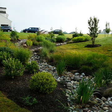Conservation Meadowscape