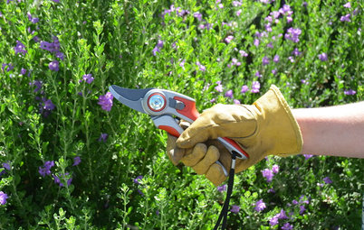 Key Pruning Terms to Help You Shape Up Your Garden