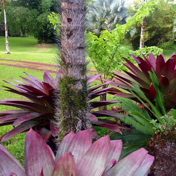 Big Island Botanical Retreat