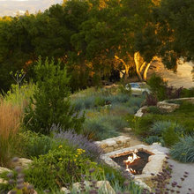 Sonoma Landscape