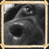 Cari Hurst's photo