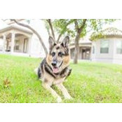 Sybil Booker's photo