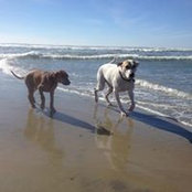 Jordan Hurd's photo
