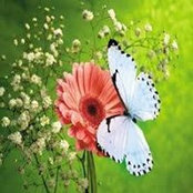 Jacqueline Martin's photo