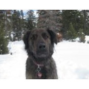Deirdre Riley's photo