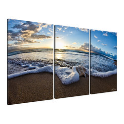Ready2HangArt - Ready2HangArt Christopher Doherty 'Sea Star II' 3-piece Canvas Wall Art - Prints And Posters