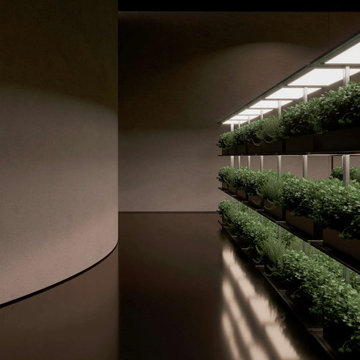 UNDERGROUND HOUSE PLAN B