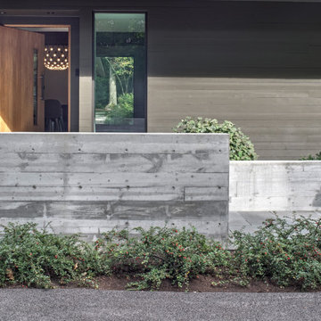 Midcentury Modern Reborn