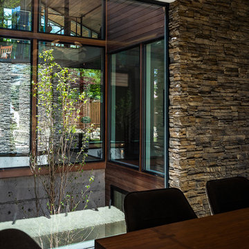 DK Design & Build LLC / Atrium Home
