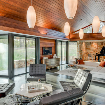Modern Organic in Buckhead, Georiga