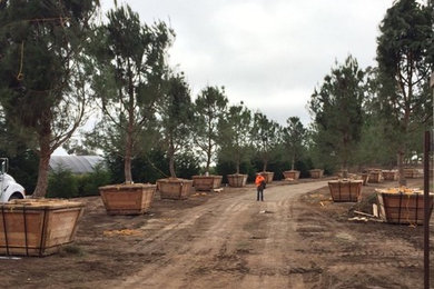 Photo of a landscaping in Los Angeles.