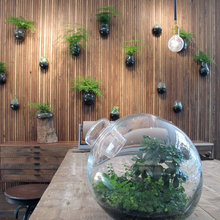 Store Ideas