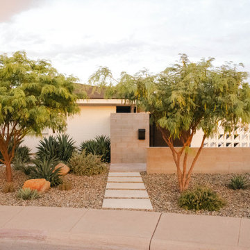 Desert Fern