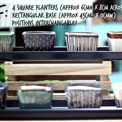 Teachers Day Specials - Indoor Pots And Planters