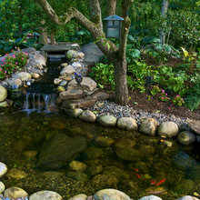 Coi Ponds