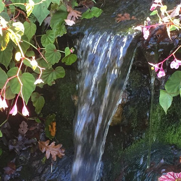 Waterfall and begonias in autumn