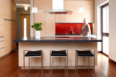 Example of a minimalist kitchen design in Minneapolis