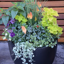pots