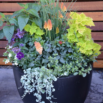 Raised Vegetable / Ornamental Garden 2015