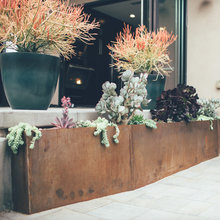 Backyard/Front Landscaping