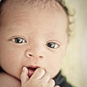 Ashley Stephenson's photo