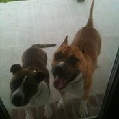 Angela Smith's photo