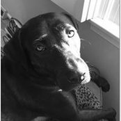 Lisa Ward's photo