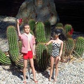 Tricia Moore's photo