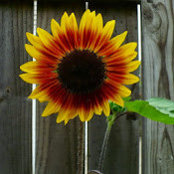 Tina Bembry's photo