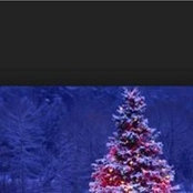 Marilyn Clarkson's photo