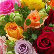 rahul sharma's photo