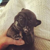 Scott Aran's photo