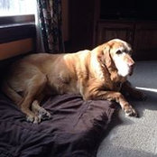 Cathy Weissert's photo
