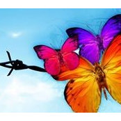 Cherie Landry's photo
