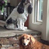Lucinda Orr's photo