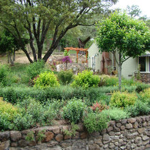 Landscape Slope