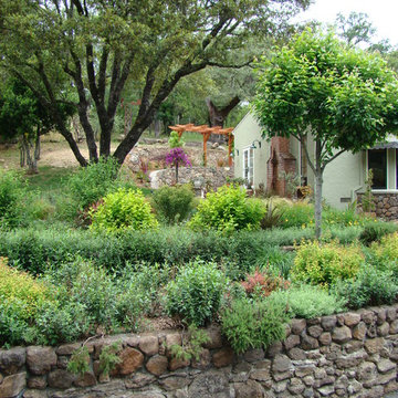 Small Angwin Residance