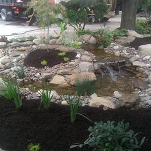 pond