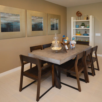 Desert Intrigue @ Vistancia | Peoria, AZ | 4093 - Discover