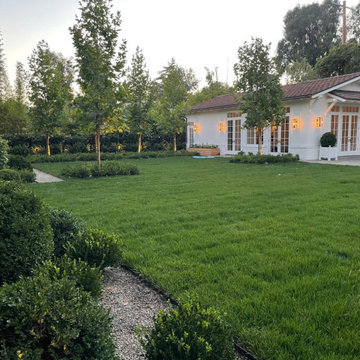 Lush Green on Green Outdoor Space