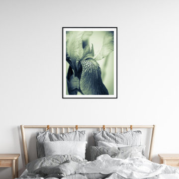 Floral Prints Wall Art: Abstract Japanese Iris Delight