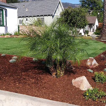 Front Yard: Drought-Tolerant Elements--Wide Border