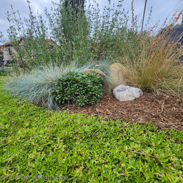 Small Dana Point Front Garden Makeover